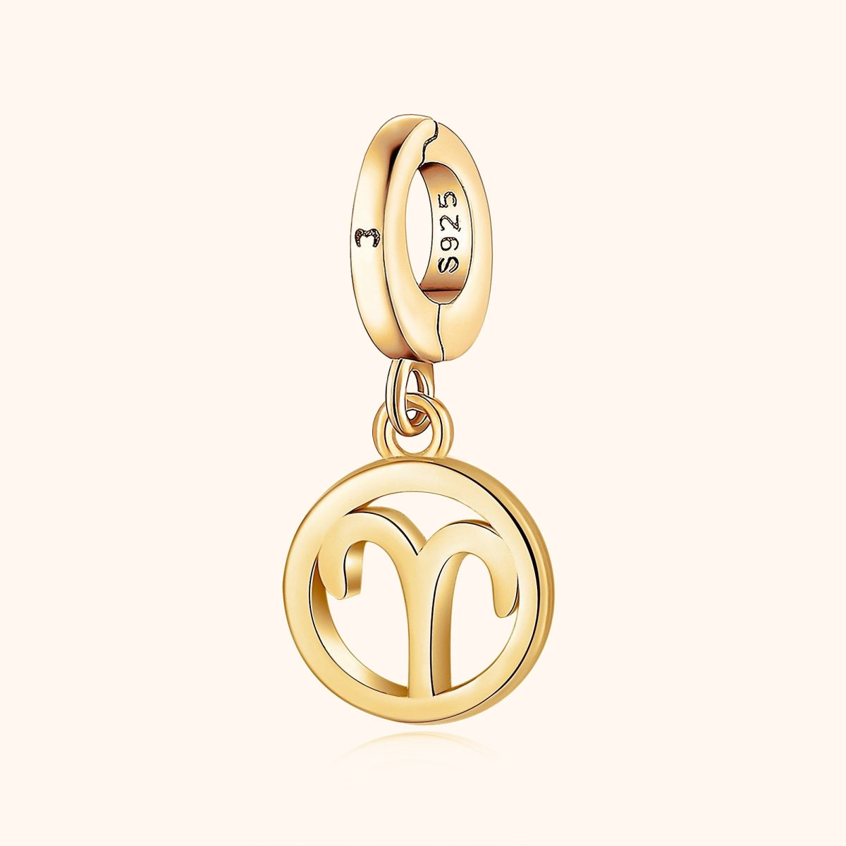 Kreisförmiger Zodiak Charm