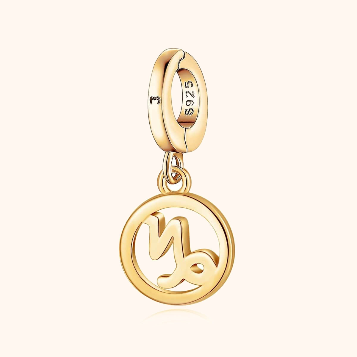 Kreisförmiger Zodiak Charm