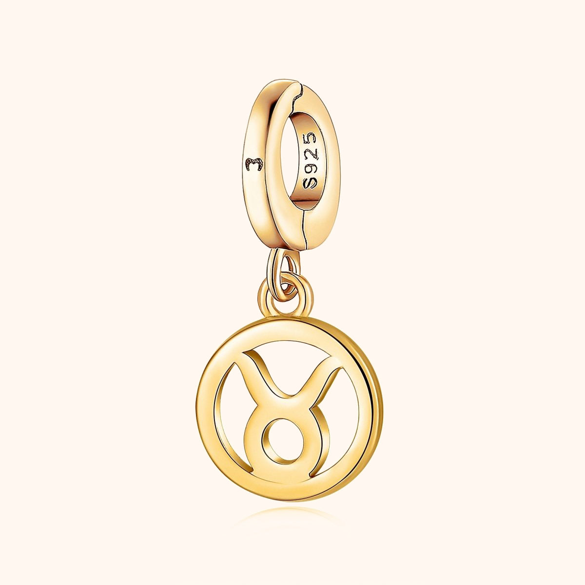 Kreisförmiger Zodiak Charm