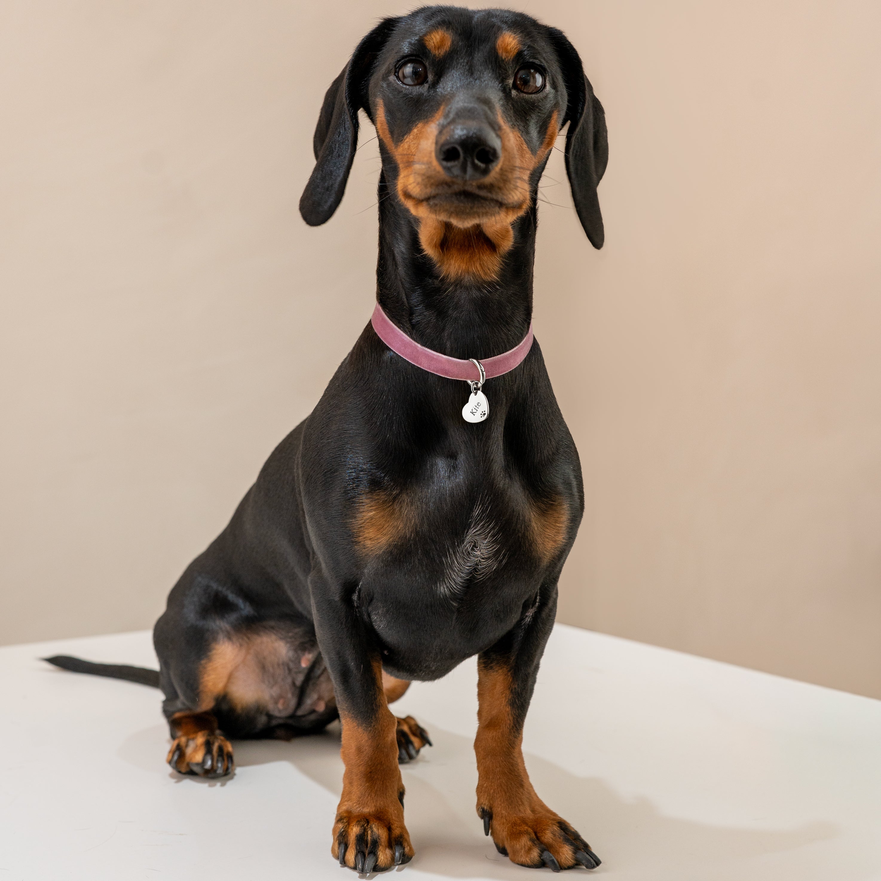 Liebeshaustier Halskette - Personalisiert